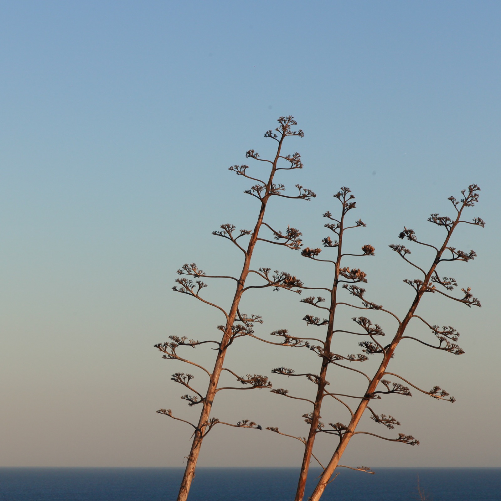 Fotografia de Gustavo Muraro — algarve, 7